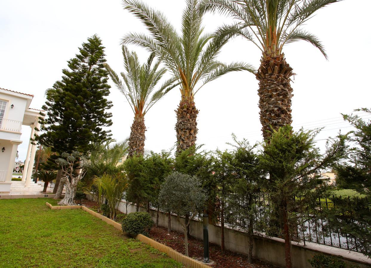 Villa The White House Larnaca Esterno foto